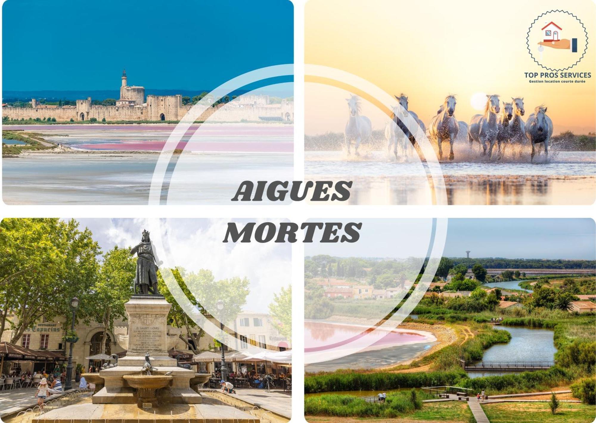 Les Marines Port 2 Min Plage Camargue- Top Pros Services Conciergerie La Grande Motte Могио Екстериор снимка
